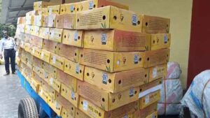 Read more about the article Bhagalpur: Jardalu Mango Gift Packs Dispatched to Delhi for President and PM