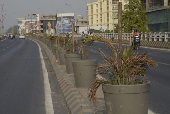 Extreme Heat withers Patna’s Greenery: Lack of Maintenance Leads to Dying Trees and Plants