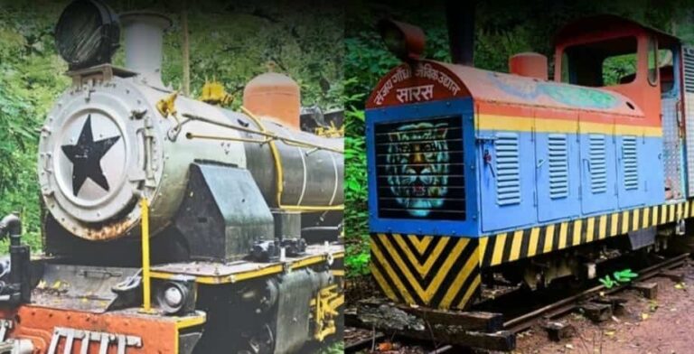 Patna Zoo’s Toy Train to Resume After 9 Years with New Route and Upgrades