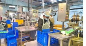 Sudha Dairy ‘Dahi Express’ to Ensure Sufficient Milk and Curd Supply for Makar Sankranti Festivities in Bihar