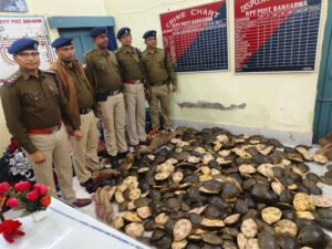RPF Recovers Substantially Huge Number of Live Turtles and Tortoises Being Smuggled through Rail Route in Jharkhand, West Bengal and Bihar