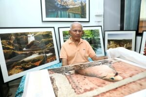 Wildlife Photography in the Age of AI: Prakash Desai Journey of Patience, Purity and Passion
