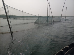AWC Survey  at Kamalakund Wetland Area
