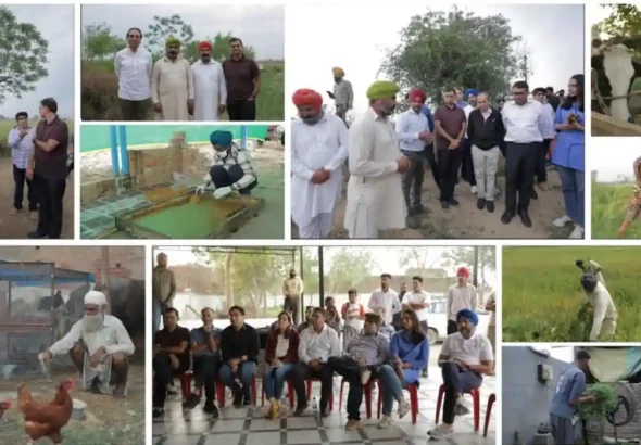 PwC India Foundation strengthens climate resilient livelihoods for more than 400 farming households through flood recovery initiatives