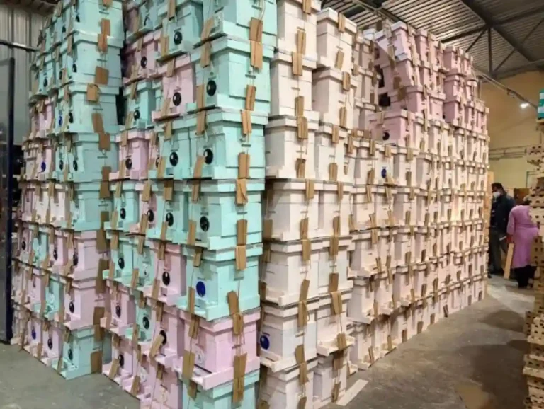 Nippon Paint India Partners with Humble Bee