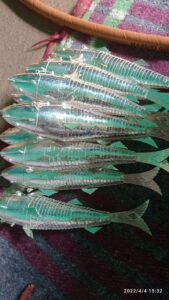Fishes made of silver
