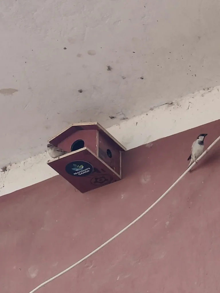 Bird house for sparrows in a Munger village