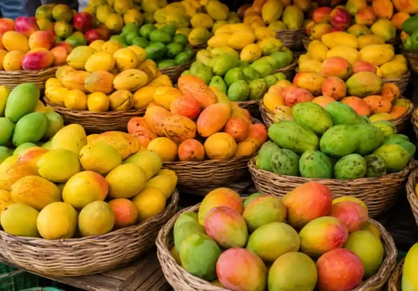 18-Mango